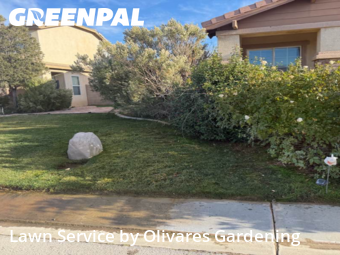 Backyard Landscaping In Lancaster,93536,Landscape Design by Olivares Gardening , work completed in Jan , 2026