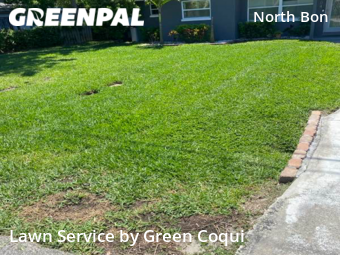 Lawn Care Service nearby Tampa, FL, 