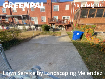 Yard Care in Baltimore, 21229, Yard Work by Landscaping Melendez, work completed in Nov , 2025