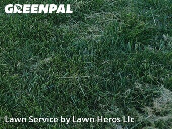 Residential Landscaping In Greensboro,27409,Landscaping Cleanup by Lawn Heros Llc , work completed in Jun , 2026