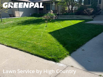 Yard Cutting nearby Berkley, CO, 