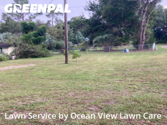 Lawn Mow nearby Ocklawaha, FL, 