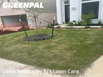 Grass Cut nearby New Braunfels, TX, 