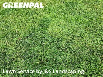 Lawn Care nearby Canton, MI, 