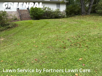 Yard Upkeep in Mountain Brook, 35223, Lawn Cutting by Fortners Lawn Care, work completed in Nov , 2025