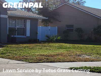 Lawn Carein Ocoee,34761,Yard Cutting by Totos Grass Cutting, work completed in Dec , 2025