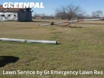 Grass Cutting nearby Gunter, TX, 