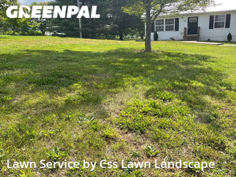 Grass Cut nearby Westmoreland, KY, 