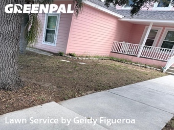Lawn Care Servicein Palm Harbor,34683,Grass Cut by Geidy Figueroa, work completed in Jun , 2026