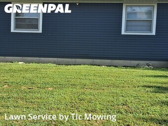 Yard Cutting nearby Decatur, IL, 