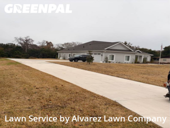 Grass Cutting in Orlando, 32807, Lawn Mowing Service by Alvarez Lawn Company, work completed in 12 Feb, 2026 