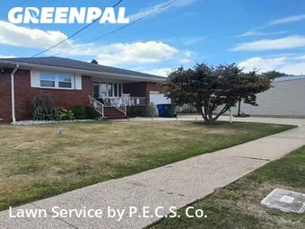 Yard Cutting nearby Port Reading, NJ, 