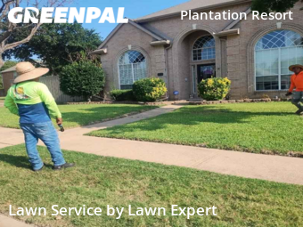 Grass Cutting nearby Frisco, TX, 