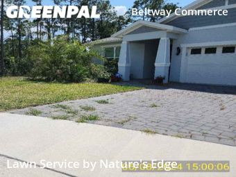 Lawn Mow nearby Orlando, FL, 