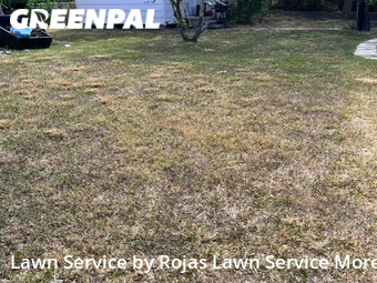 Lawn Mow nearby Harlingen, TX, 