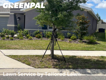 Grass Cut nearby Haines City, FL, 