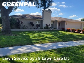 Yard Work in East Lake, 34685, Yard Management by Sfr Lawn Care Llc, work completed in Nov , 2025