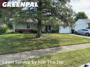 Lawn Mow nearby Xenia, OH, 