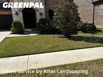 Affordable Landscaping In Lewisville,75028,Landscaping Installation by Alfas Landscaping, work completed in Apr , 2026