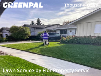 Lawn Cut nearby San Jose, CA, 