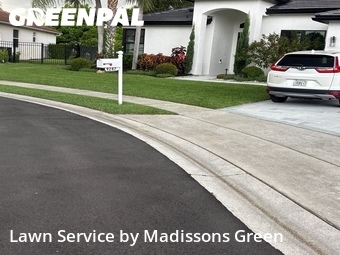 Lawn Mowing Service nearby Lake Worth, FL, 