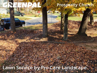 Grass Cut nearby Charlotte, NC, 