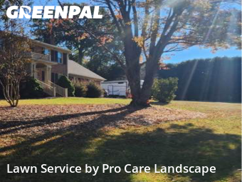 Lawn Servicein Concord,28027,Grass Cutting by Pro Care Landscape , work completed in Dec , 2025