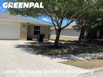 Grass Cutting nearby Buda, TX, 