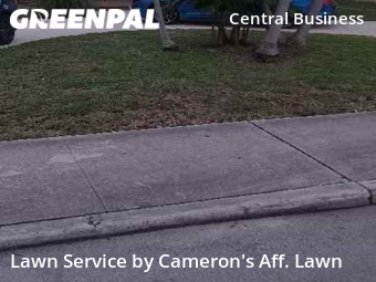 Grass Cutting nearby Hollywood, FL, 