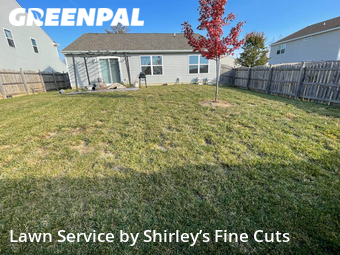 Grass Cutting nearby Indianapolis, IN, 