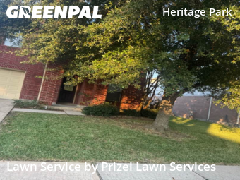 Lawn Servicein Friendswood,77546,Grass Cut by Prizel Lawn Services, work completed in Jan , 2026