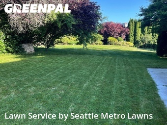 Yard Mowing nearby Arlington, WA, 
