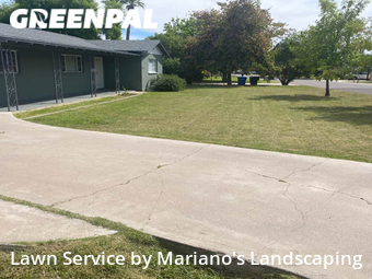 Grass Cut nearby Phoenix, AZ, 