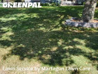 Lawn Cut nearby Woodbury, MN, 
