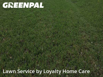 Grass Cutting nearby Melbourne, FL, 