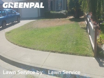 Yard Mowing nearby Suisun City, CA, 