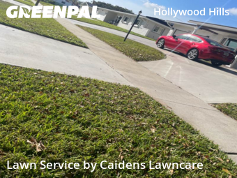 Grass Cuttingin Hollywood,33021,Lawn Care by Caidens Lawncare , work completed in Jun , 2026