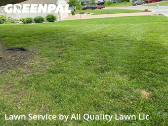 Lawn Mow nearby Saint Charles, MO, 