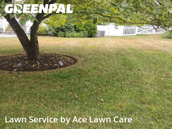 Work completed by grass-trimming-service-in-Fairfield-CA