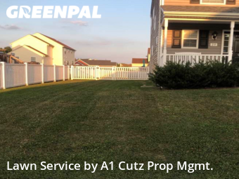 Lawn Mow nearby Smyrna, DE, 
