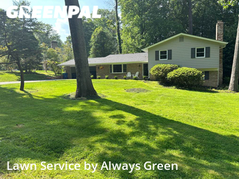 Yard Cutting nearby Reston, MD, 