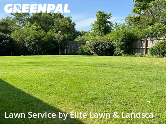 Grass Cutting nearby Olive Branch, MS, 