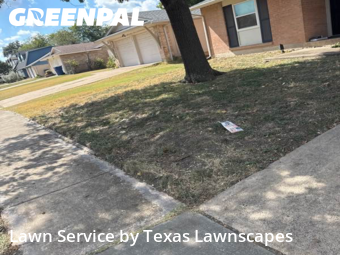 Lawn Carein Garland,75042,Lawn Cut by Texas Lawnscapes, work completed in Dec , 2025