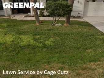 Lawn Cut nearby Palm Coast, FL, 