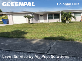 Yard Cutting nearby New Prt Rchy, FL, 