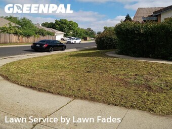 Lawn Service nearby Elk Grove, CA, 