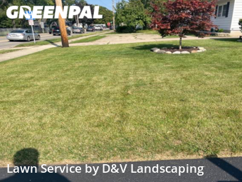 Lawn Service nearby Lockport, IL, 