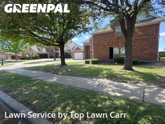 Yard Cutting nearby Grand Prairie, TX, 