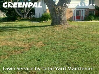 Lawn Mowing nearby South Saint Paul, MN, 