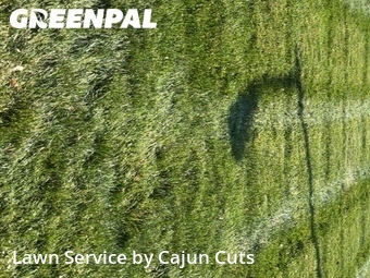 Lawn Mowing Service nearby Murfreesboro, TN, 